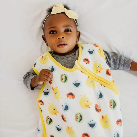 Copper Pearl Sesame Street Cloud Sleep bag 12-18M - Picture 4 of 4